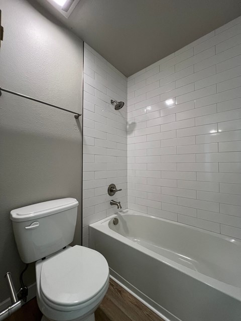 a bathroom with a toilet and a bath tub