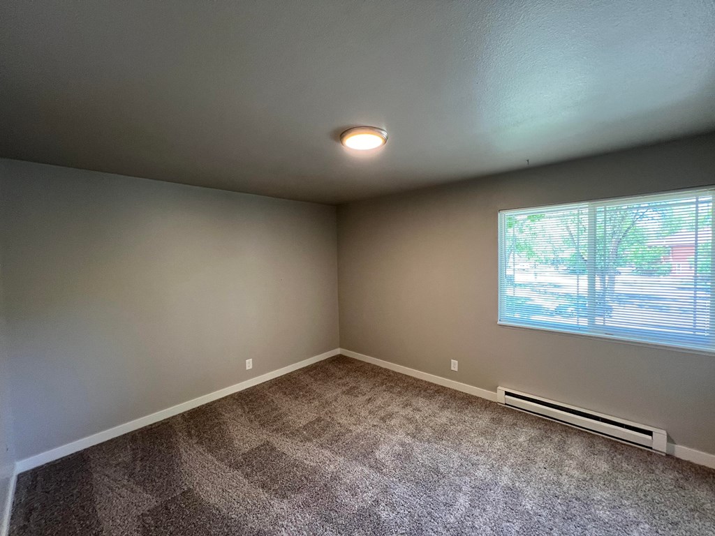 an empty living room with carpet and a window
