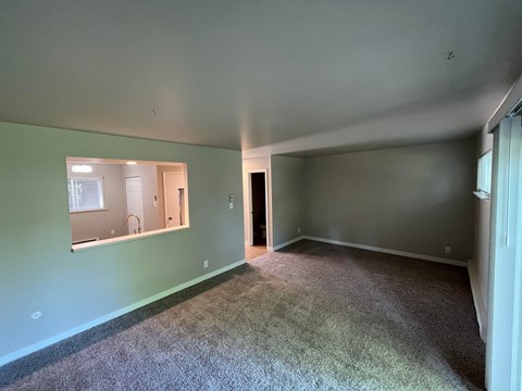 a living room with green walls and carpet and a large window
