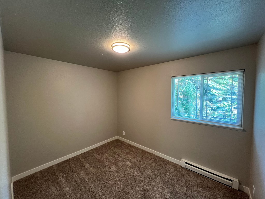 an empty room with a window and carpet