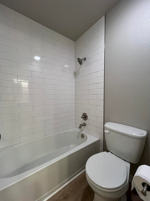a bathroom with a toilet and a bath tub