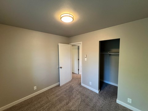 a living room with carpet and a door to a closet