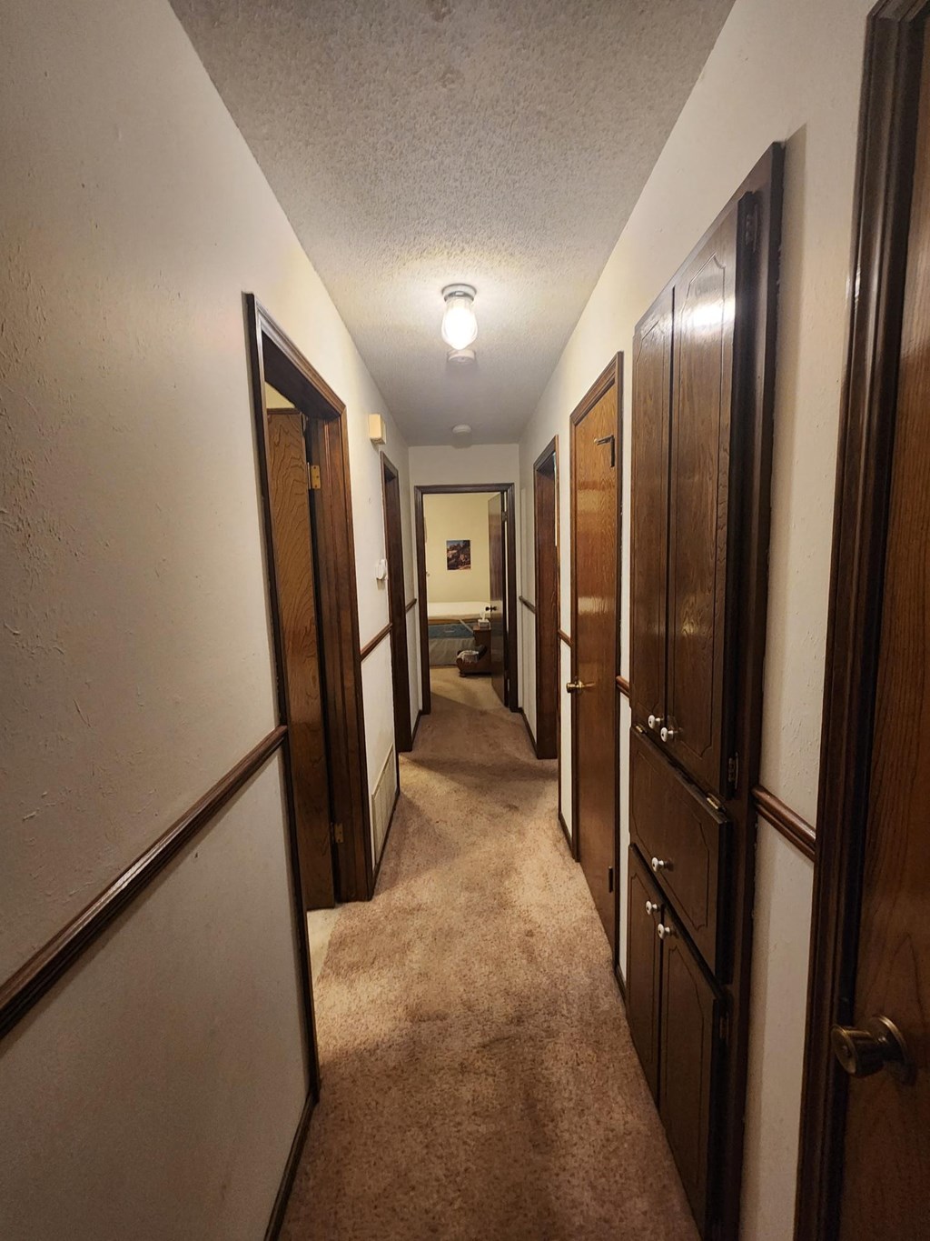 a hallway with wooden doors and closets and a carpeted floor