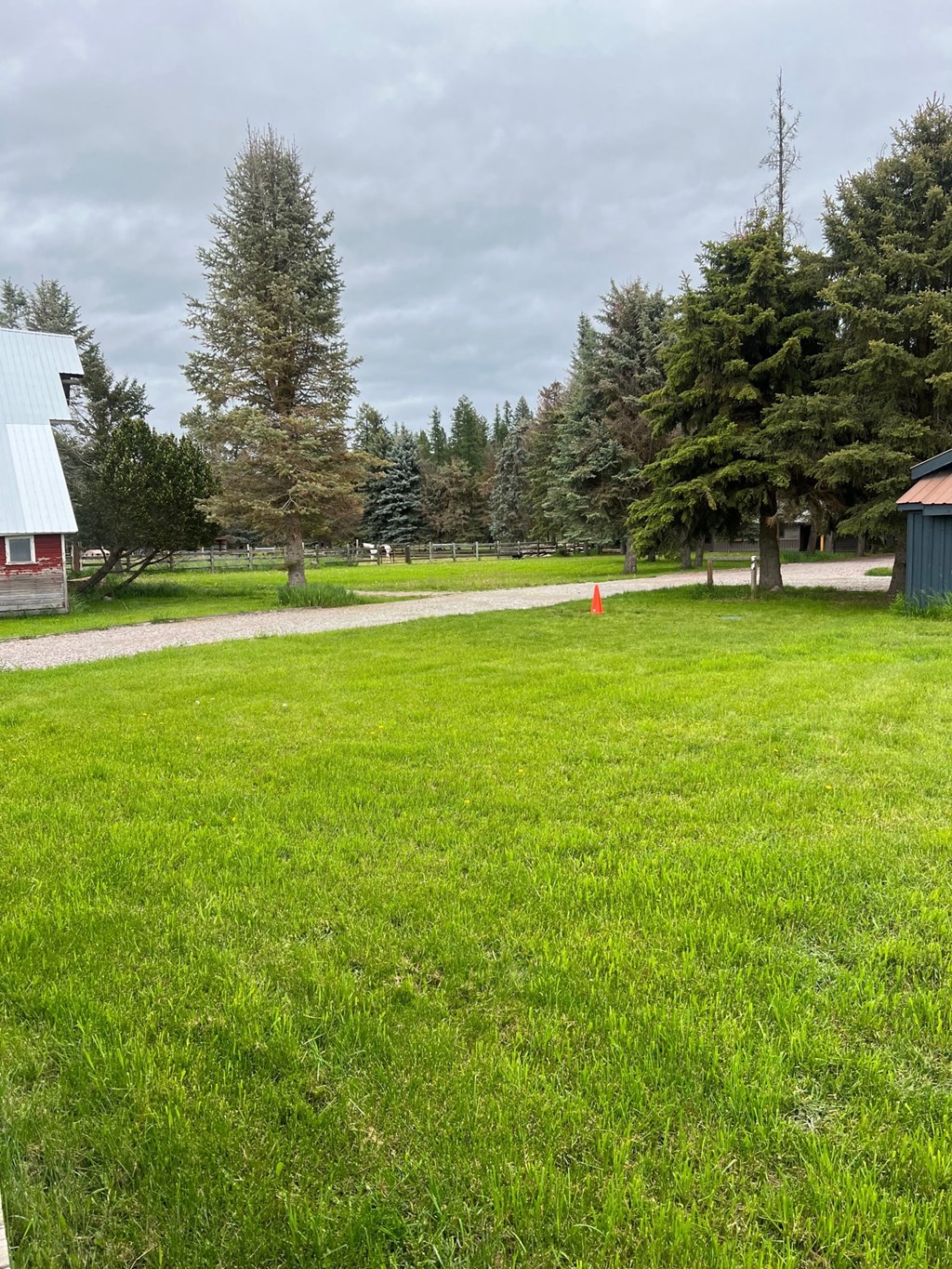 a field of green grass next to a house and trees