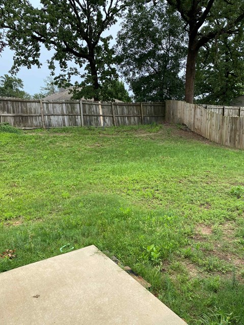 A backyard with a wooden fence and a concrete slab.