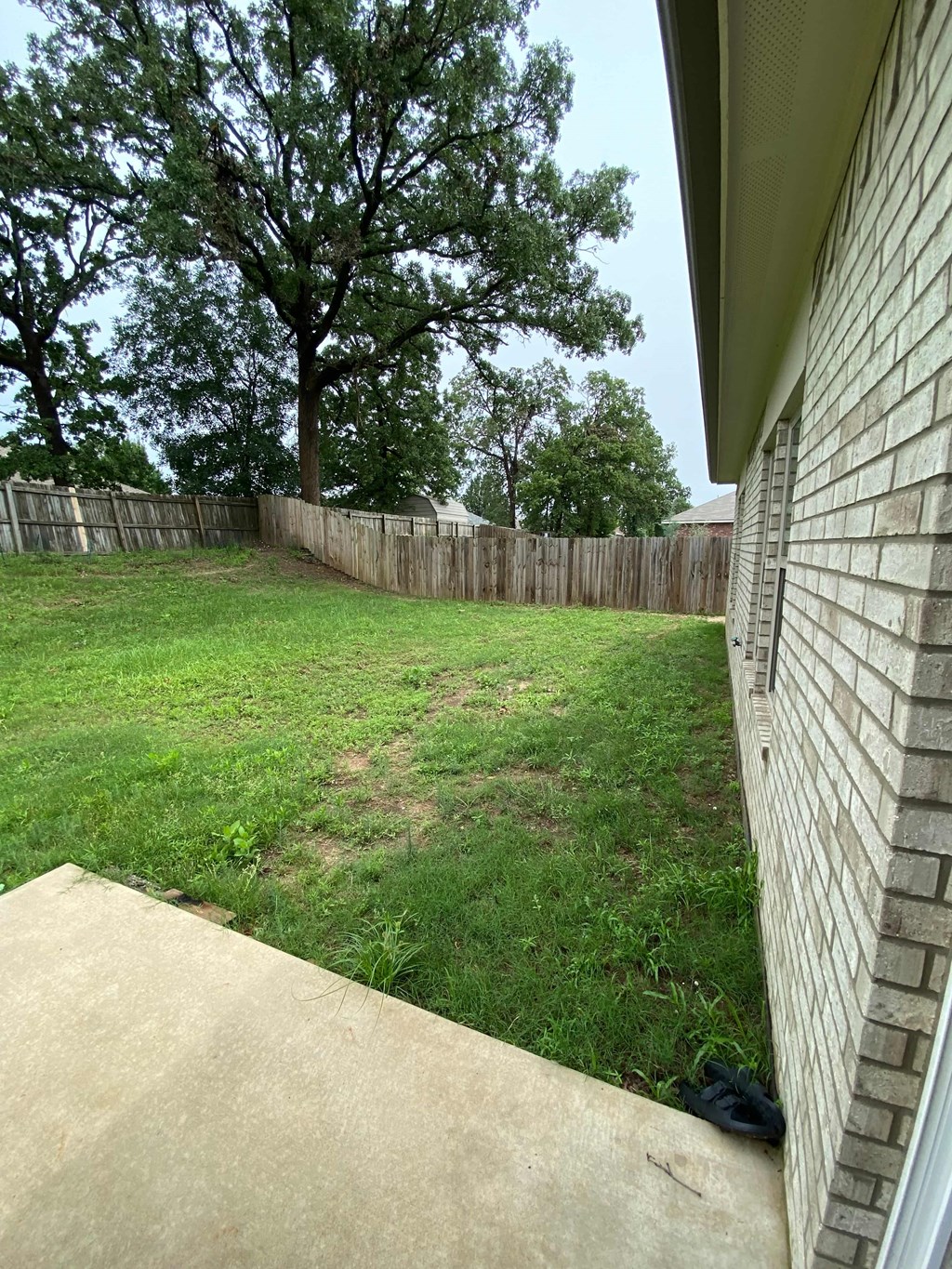A backyard with a fence and a tree.