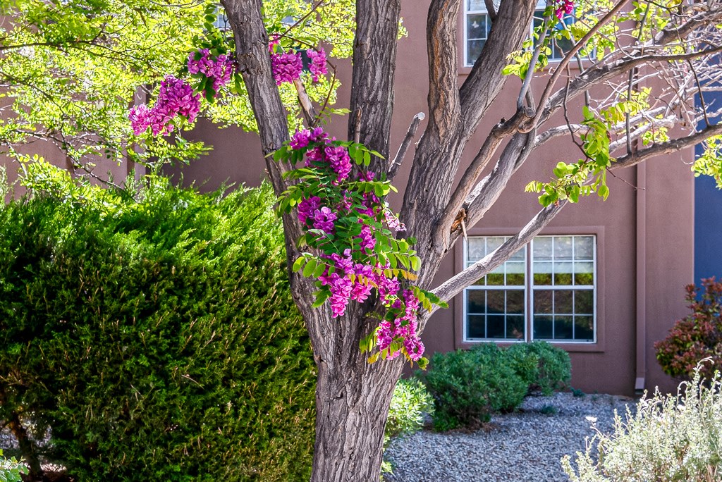 Sierra Blanca Senior Living