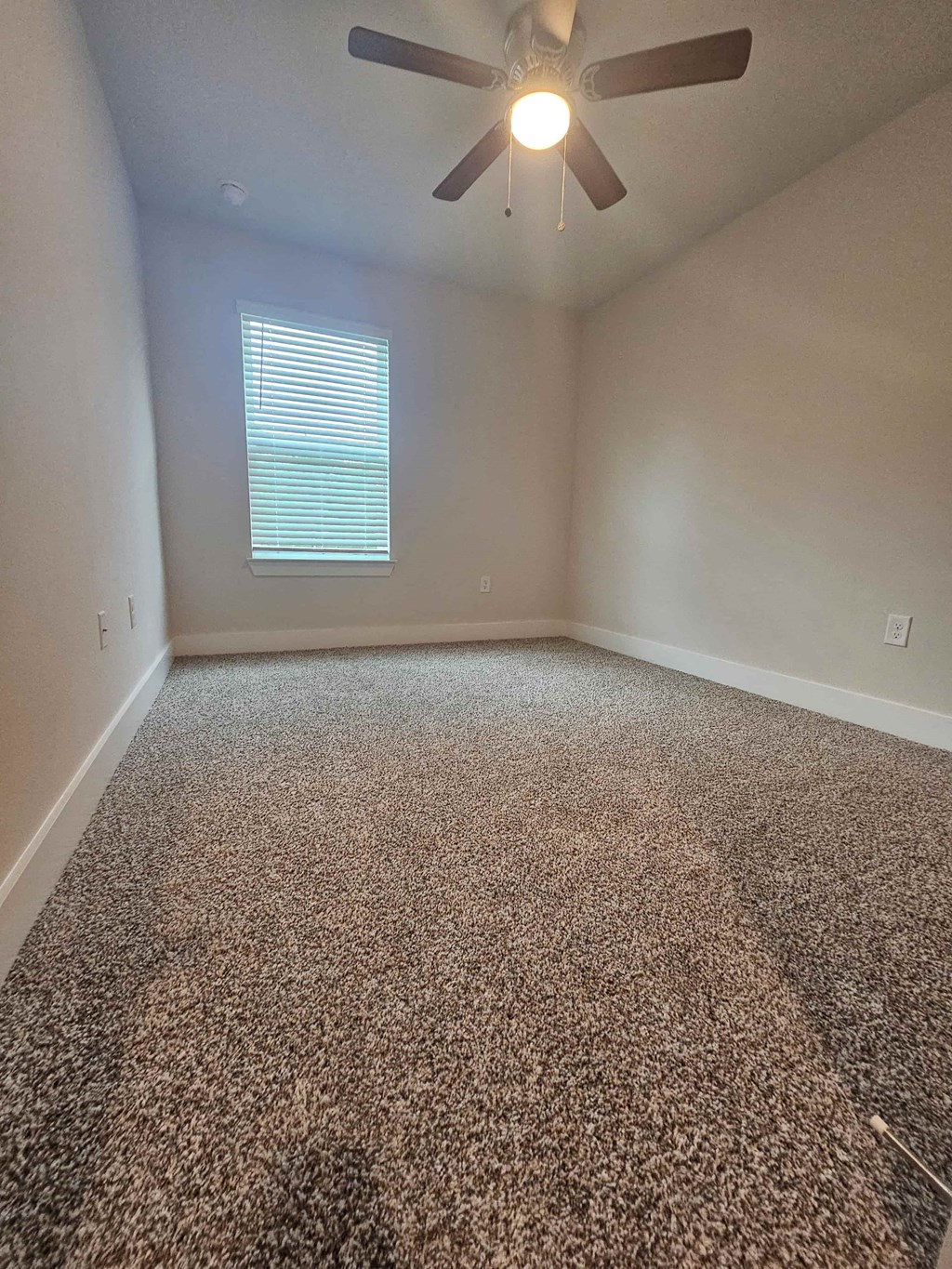 a carpeted room with a ceiling fan and a window