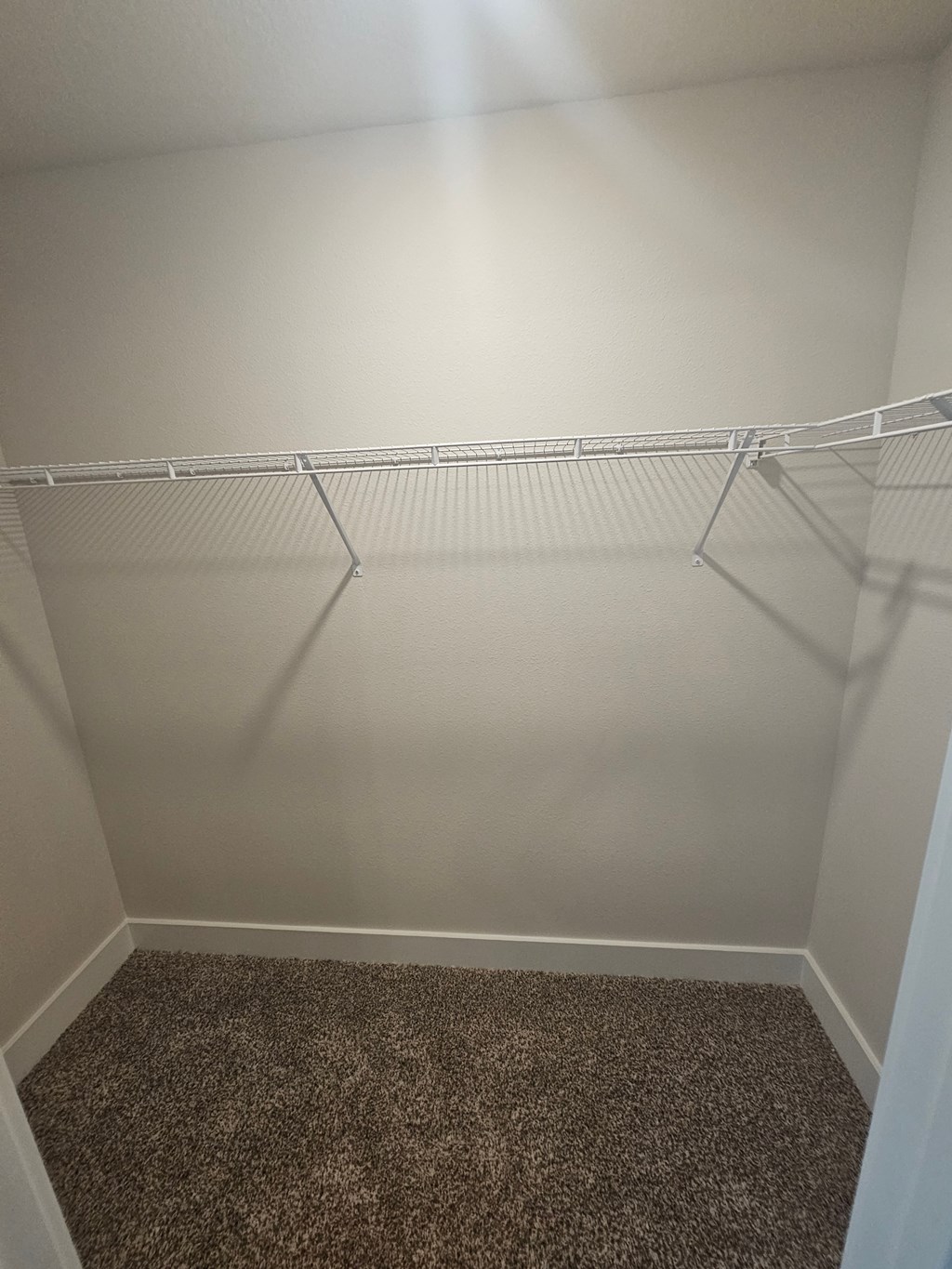 a walk in closet with empty shelves and a carpet