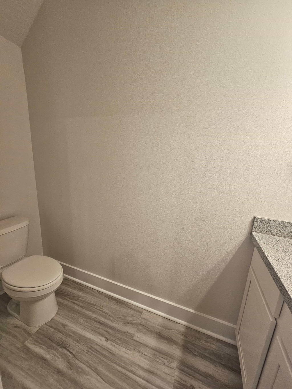 a bathroom with a toilet and wooden floors