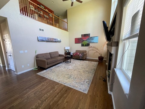 a living room with a couch and a rug