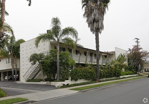 a white building with palm trees in front of it