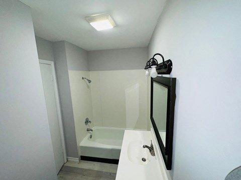 a bathroom with a sink and a tub and a mirror