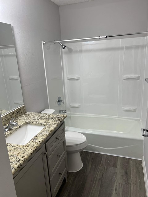 a bathroom with a shower toilet and sink