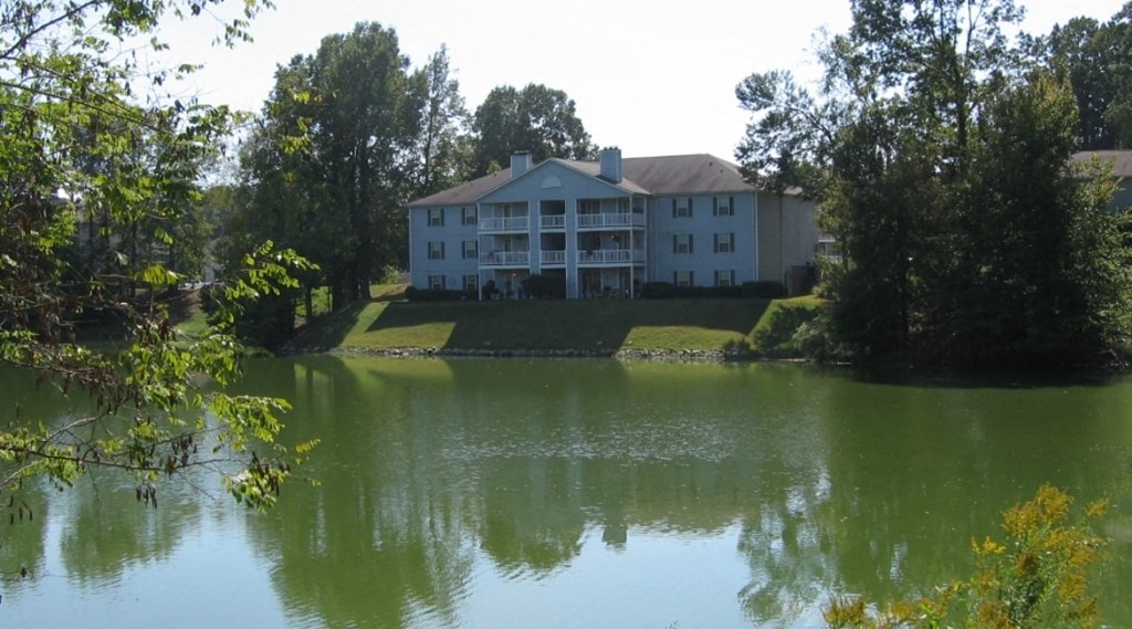 the building where the apartment is located