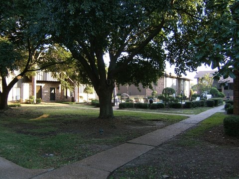 a tree in a yard in front of a house