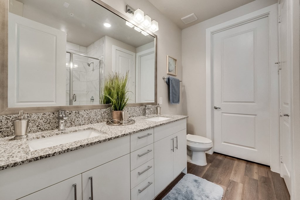 a bathroom with a sink and a toilet and a mirror