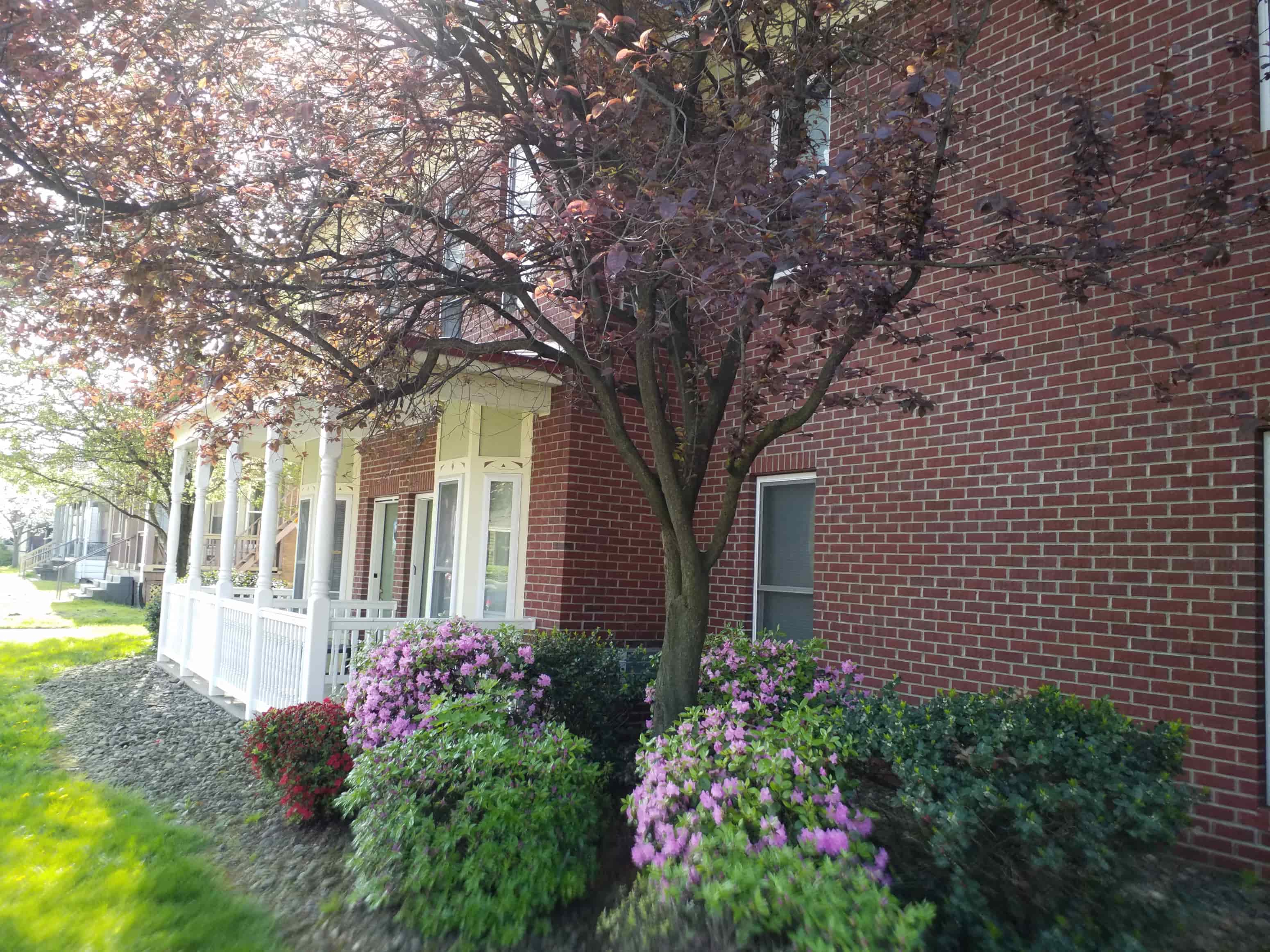 a brick house with a tree and flowers in front of it