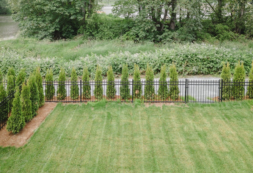 a backyard with a fence and a row of trees