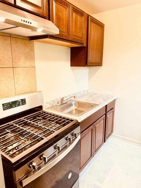 A kitchen with a stove and sink.