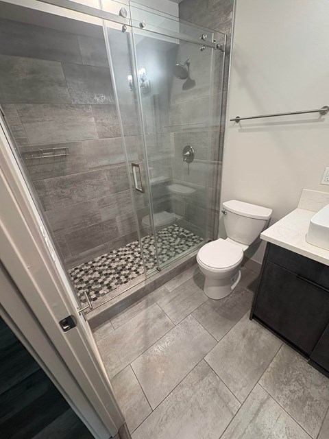 A bathroom with a walk-in shower and a toilet.