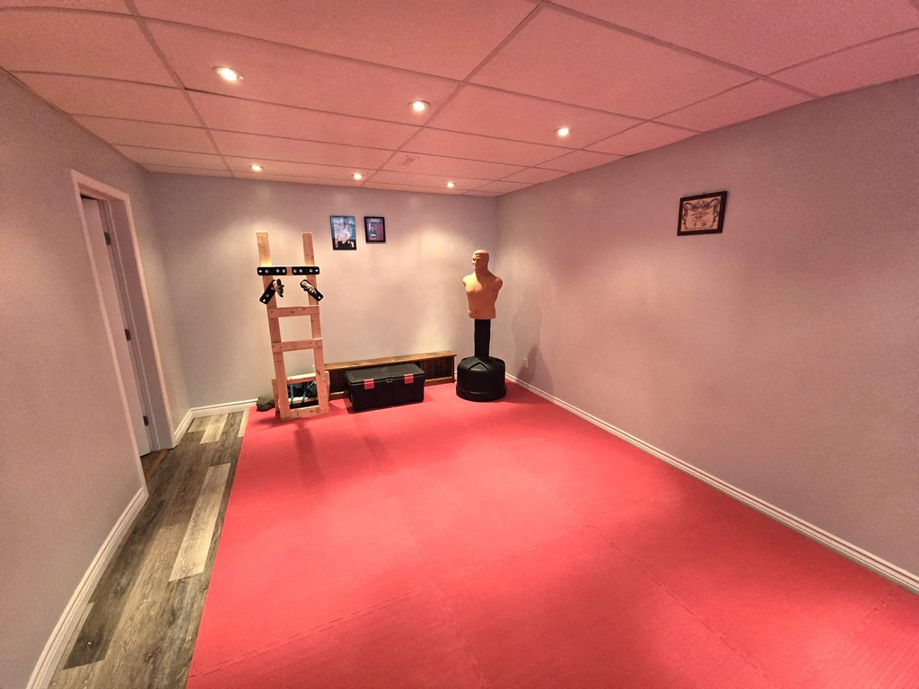 a room with a red carpet and a ladder