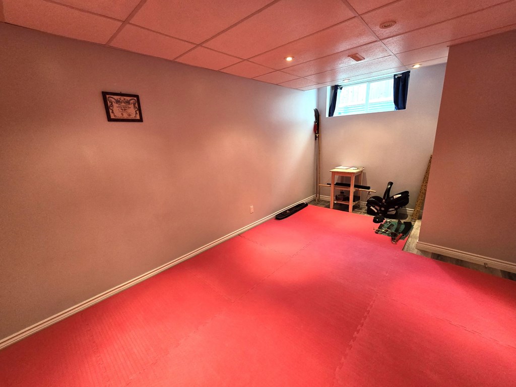 a room with a red carpet on the floor and a window
