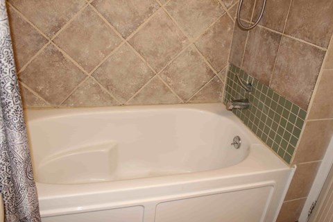 a bathroom with a bath tub and a shower