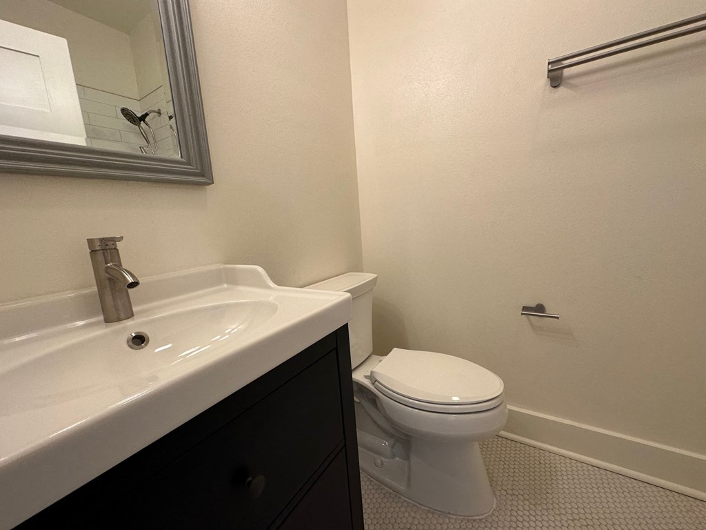 a bathroom with a sink and a toilet
