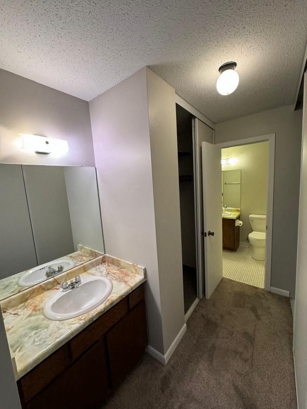 a bathroom with a sink and a toilet in it