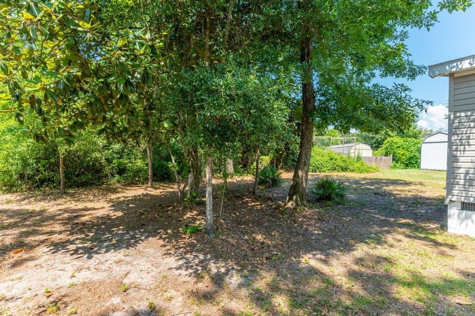 a group of trees in a yard next to a house