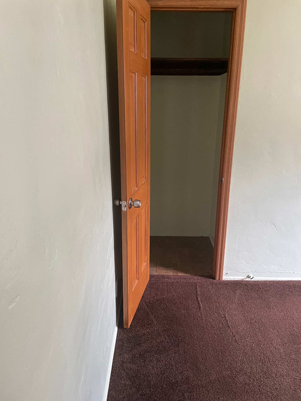 the door to the closet is open and the carpet is in front of the door