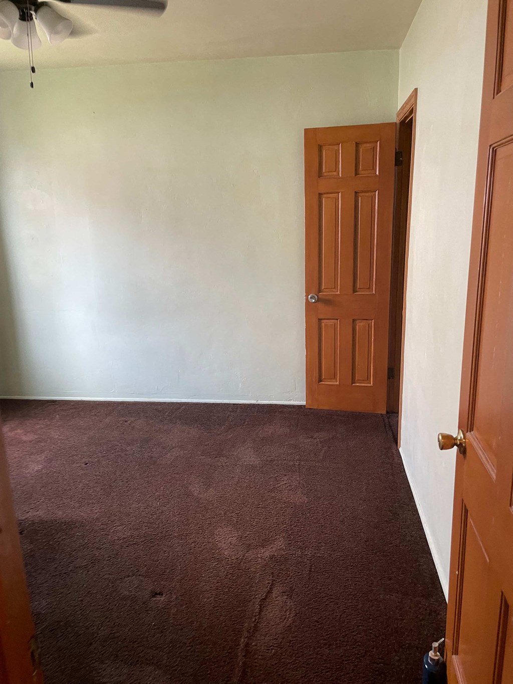 an empty room with a brown carpet and a door