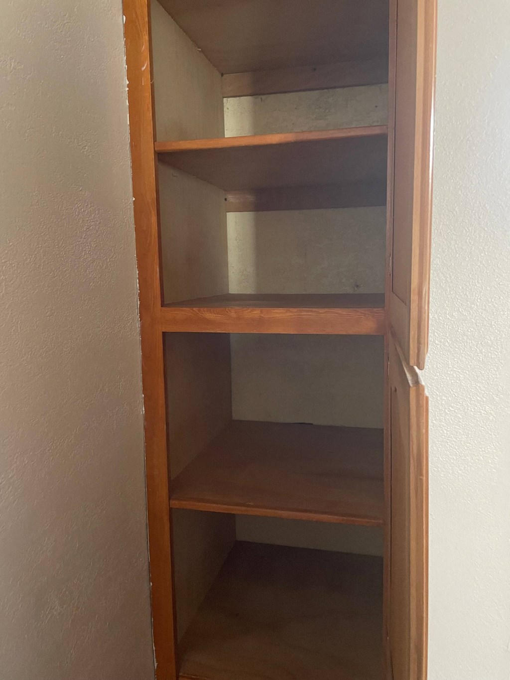 the empty shelves in the closet are empty