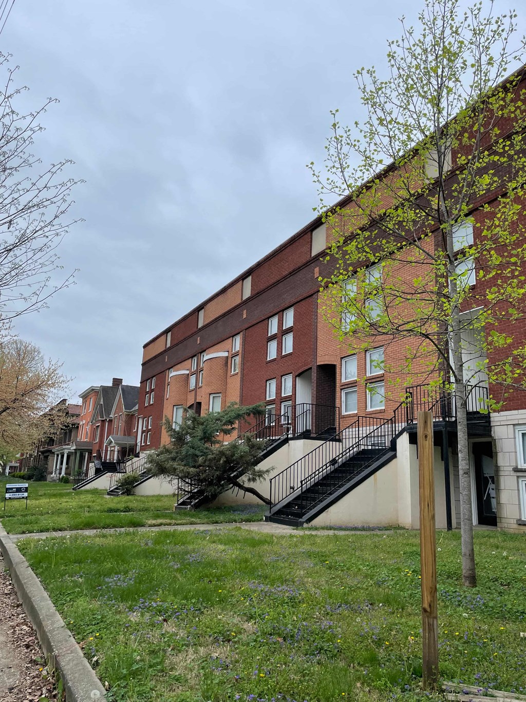 A tree with green leaves stands in front of a red brick building.