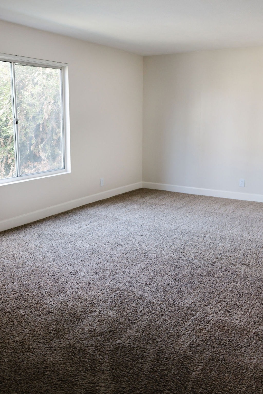 A room with a carpeted floor and a window.