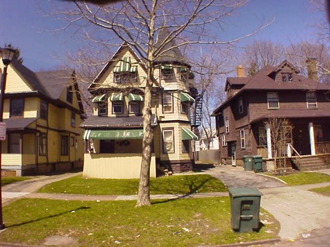 A tree in front of a house with a green trash can in front of it.