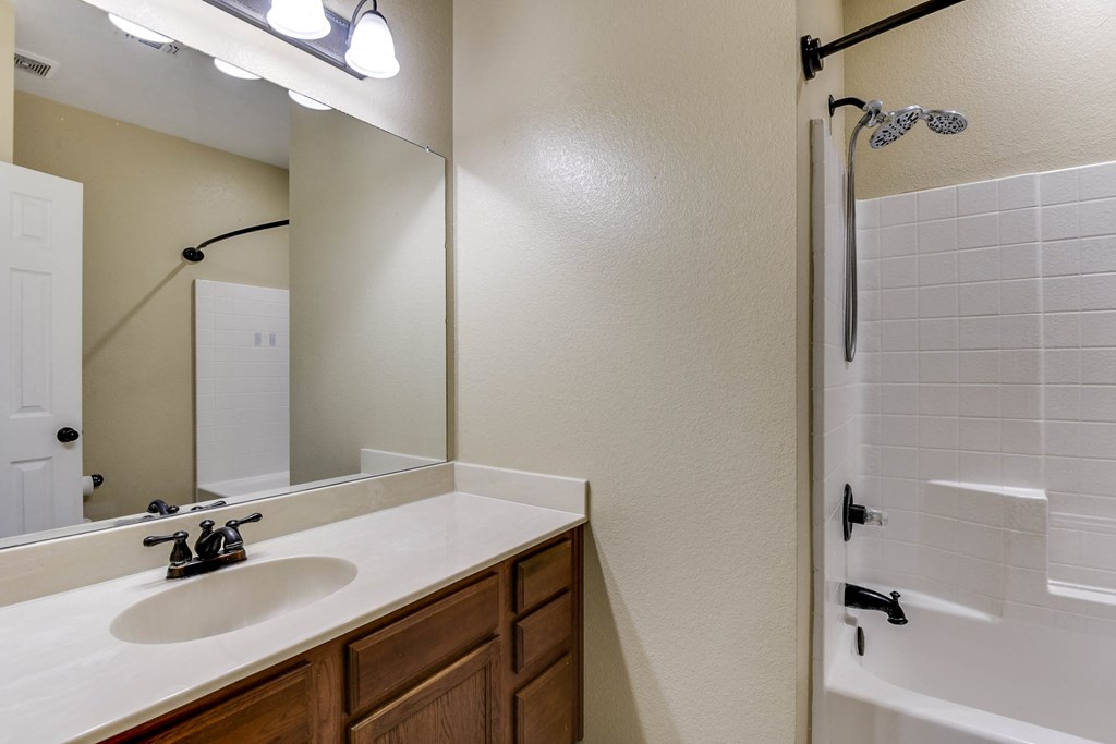 a bathroom with a sink and a shower and a mirror