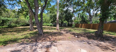 a backyard with trees and a wooden fence