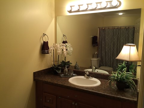 a bathroom with a sink and a mirror and a lamp