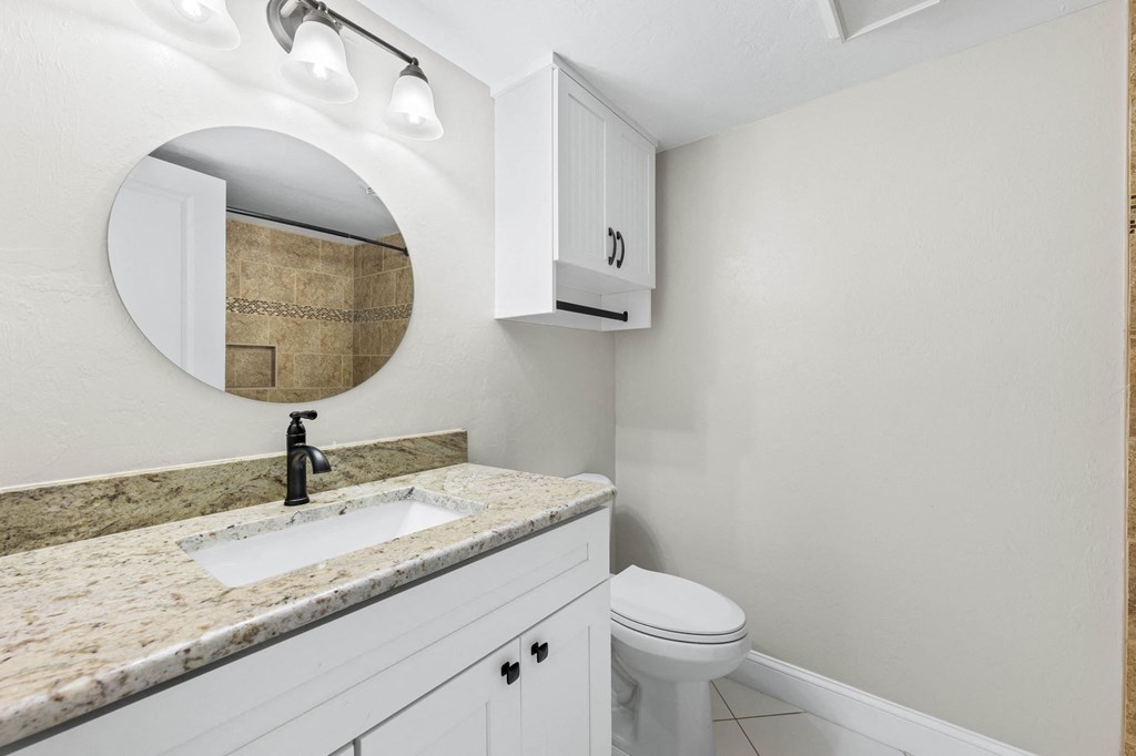 a bathroom with a sink and a toilet and a mirror