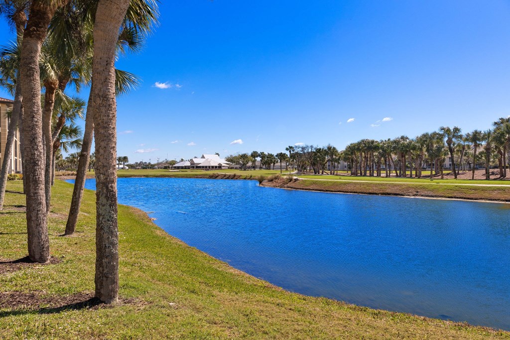 a pond with palm trees near a golf course