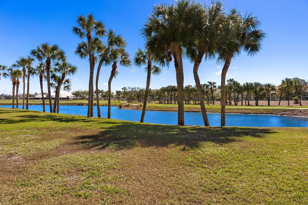 a large lake with palm trees in front of it