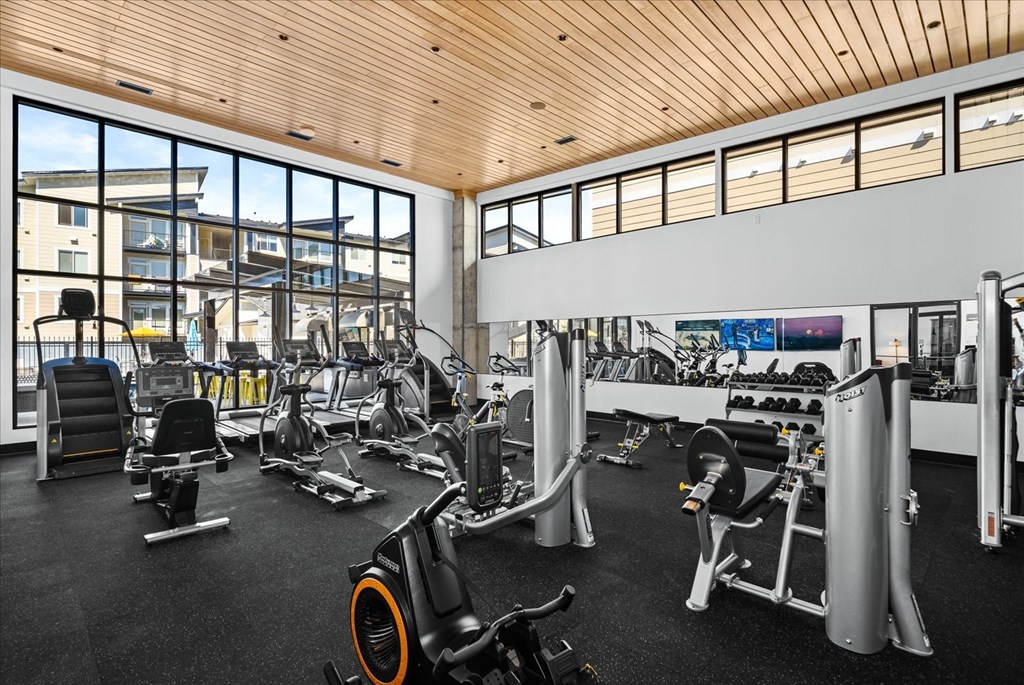 a gym with weights and cardio equipment and windows