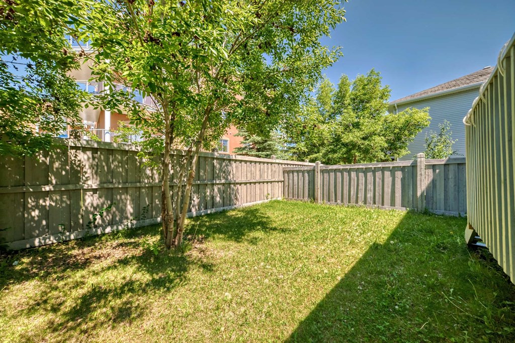 a backyard with a fence and a tree