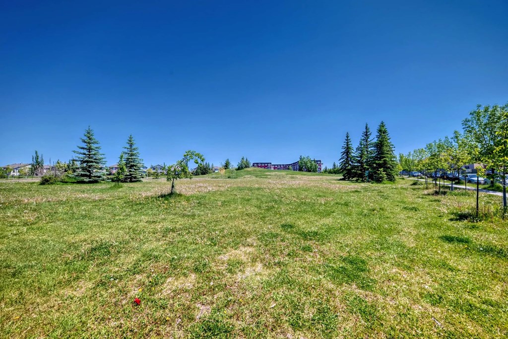 a grassy field with trees and a house on a hill