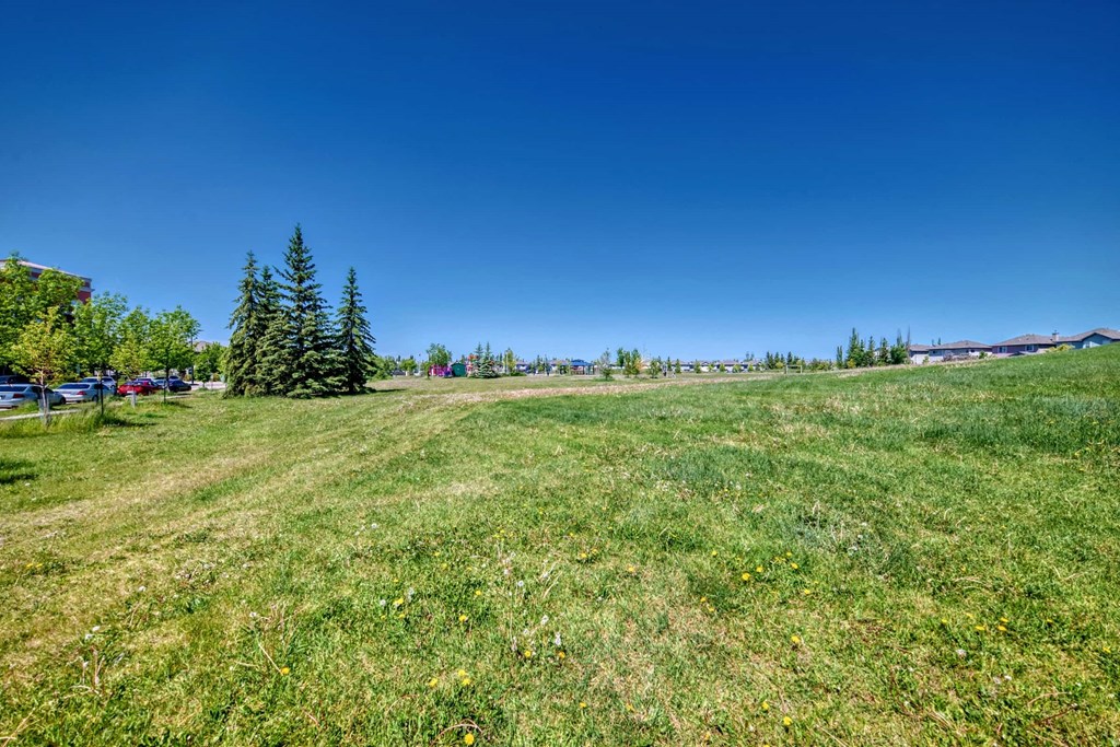 a large grassy field with trees and a blue sky