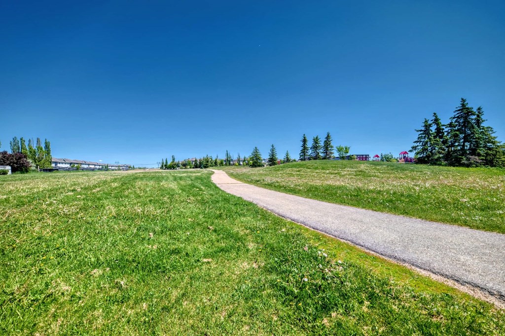 a path through a grassy field next to a road