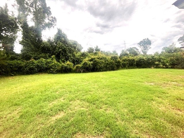 a large grassy field with trees in the background