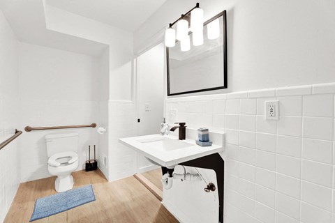 a bathroom with a sink and a toilet and a mirror